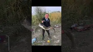 вот почему мужики любит рыбалку 🤣