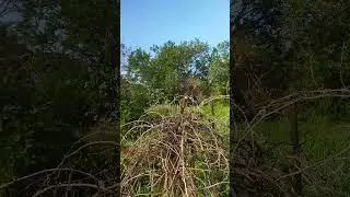 Дом у моря за 1,5 млн