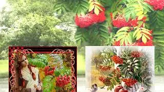 Караоке онлайн. Надежда Кадышева - Ой! рябина кудрявая (b-track.com)