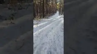 12 ноября 2023 на лыжах 🎿 Барнаул