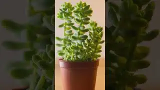 Güzel Bir Çiçek Fotoğrafını Çekmeme İzin Verdi :) 