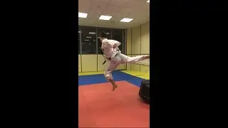 All Taekwondo Kicks in 60 seconds 