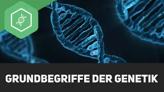 Basic concepts of genetics