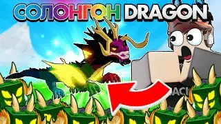 Өнгө өнгийн DRAGON❓