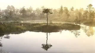 Annika Lanka - carry me forward (Official Music Video)