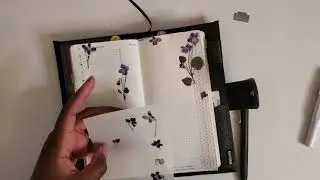 I'm Such A Jerk | Hobonichi Weeks | Plan With Me