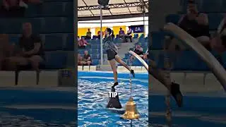 This girl and her dolphin tricked the audience ❤️ 