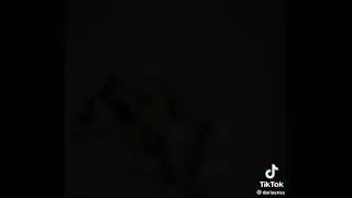 монти