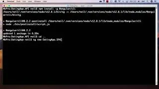 12  Creating the Angular application using AngularCLI