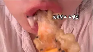 연말맞이 폭주브이로그