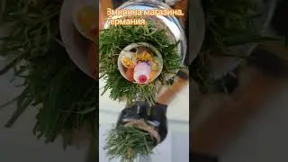 весна