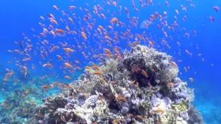 Summertime in Red Sea