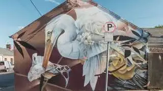 Waterford Walls Street Art Festival - HYPERLAPSE footage (from Wonder Walls documentary).