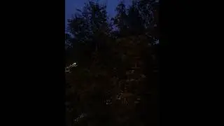 NegatiFor - напряжение