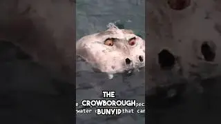 Nightmare Fuel Submerged Animatronics 