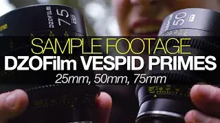 DZOFilm T2.1 Vespid Primes: SAMPLE FOOTAGE (25mm, 50mm, 75mm)