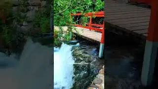 ما هذا الجمال يا فلسطين والجولان