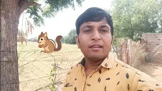 My squirrel friend | Vixa Chouhan Vlog