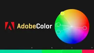 How to Use Adobe Color CC for BETTER Colors