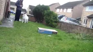 two on two off
