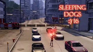 Sleeping Dogs №16