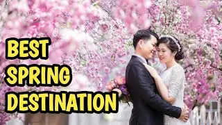 Top 10 Perfect Spring Destinations Around the World | Travel Inspiration 2024