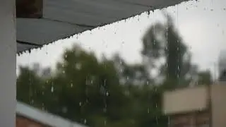 Rain 02 / Free Stock Footage