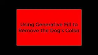 Generative Fill Replace Collar