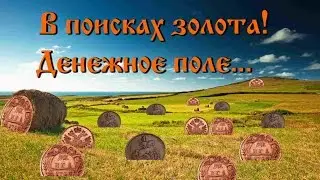 денежное поле