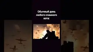 Обычный кот Мем #47 (Battle cats) 