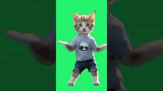 Shake It Off Cat Dance | Green Screen #greenscreen #greenscreenvideo #petdance #cat #capcut