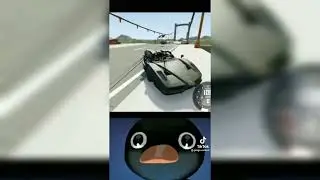 Penguin Noot Noot Tik Tok Memes  compilation #2