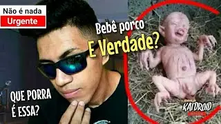 BEBÊ PORCO HUMANO 2018 - QUE PORRA É ESSA?