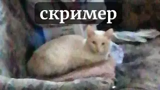 ¦ совсем скоро ¦ Very soon ¦