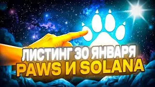 Листинг Paws 30 Января | Павс Продал Аудиторию Solana | Ton И Solana | Paws Аирдроп