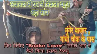 अचानक से घर में निकला बहुत बड़ा सांप , फिर जो हुआ आप खुद ही देख लिया || Big Snake | #RatSnake