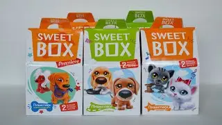 Распаковка больших SWEET BOX: Пушистики щенята супер- герои, Пушистики Кэттаун, Пушистики Доггивуд