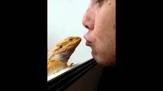 World's cutest beardy trick ever!!!
