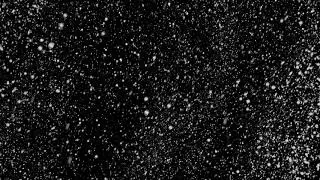 Free Snow Mask Snowing Effect ❄️Stock Video HD 1080P Green Screen Snowstorm Assets Video Editing CC0