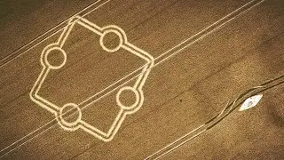 Crop Circle resPonse to PT's Time Cycles Innerview #cropcircles  #cropcircle #cropcircle2024