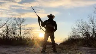 Texas Hog Hunting at Thompson Hunting lodge #hoghunting #hunting #southtexas