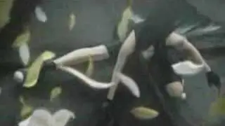 Final fantasy VII Advent Children - Beyond the Bounds