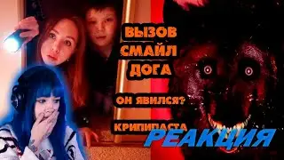 ЛИЗА СМОТРИТ: НАСТОЯЩИЙ ВЫЗОВ СМАЙЛ ДОГА
