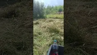 новое место под пасеку