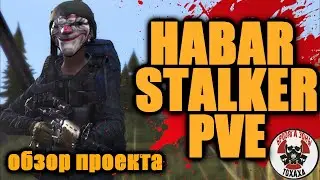 DayZ - HABAR STALKER|PVE| ОБЗОР ОПРОЕКТА 2 -день