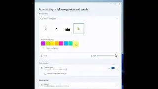 Change Mouse Size and Color 