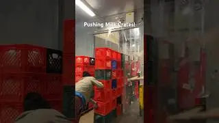 Pushing Milk Crates at work!! 