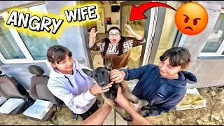 THE FOUND DOG AND THE ANGRY WIFE (Dog Parkour POV Chase) 