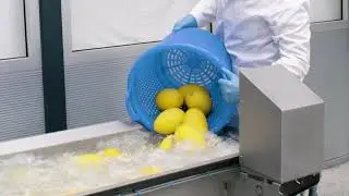DECONWA PREP FRUITS VEGETABLES
