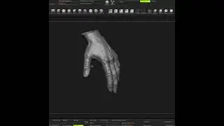 Hand speedsculpt Zbrush 2024